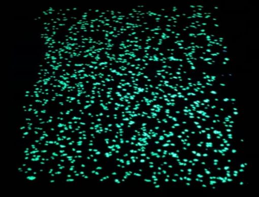 Glow-green-510x388-1.jpg